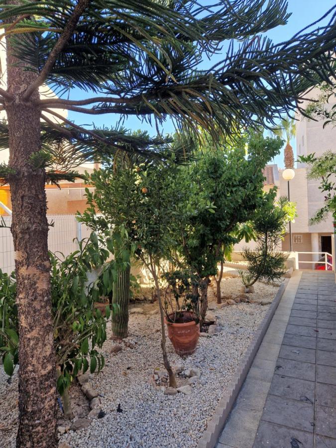 Magnifico Chalet Adosado En Torrevieja, Alicante. 외부 사진